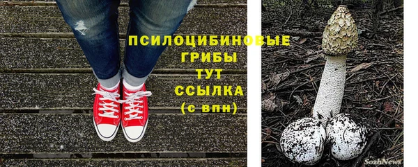 дживик Кукмор