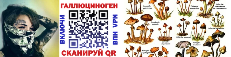 гидра вход  Ряжск  Галлюциногенные грибы Magic Shrooms 